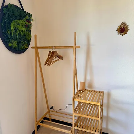 Jungle - Vue - Clim - Wifi * 卢德