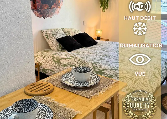 Jungle - Vue - Clim - Wifi