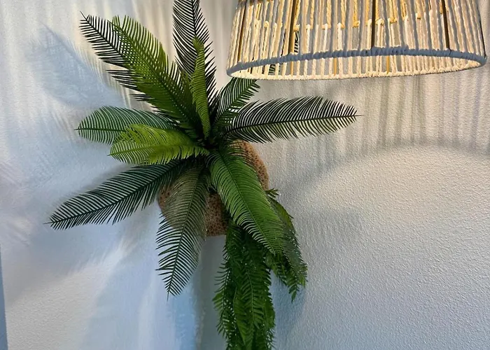 Jungle - Vue - Clim - Wifi * Лурд