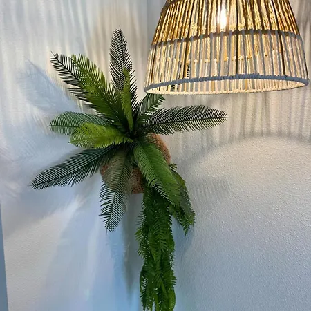 Jungle - Vue - Clim - Wifi * Lourdes